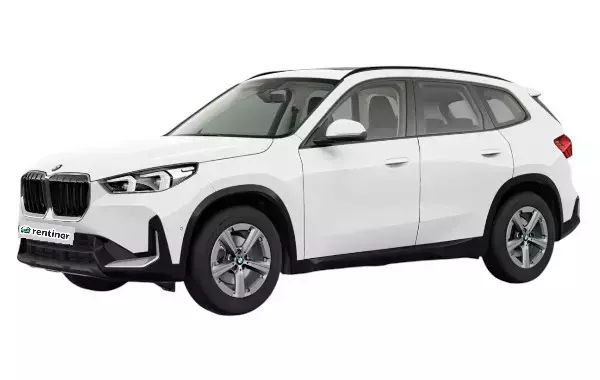 1292384_6252 (1)-Photoroom.webp